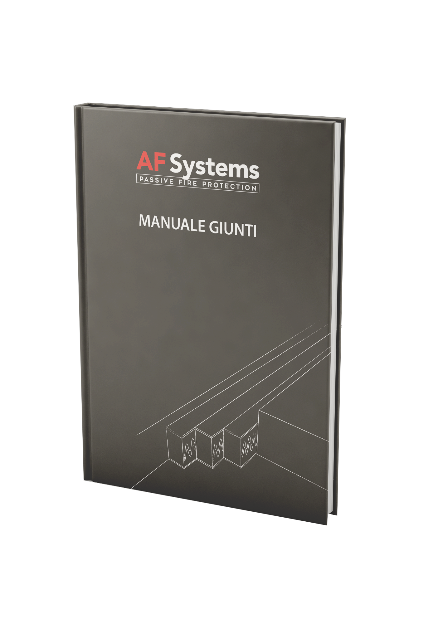 Manuale Giunti_AF Systems_v.0924